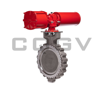 Lug type butterfly valve